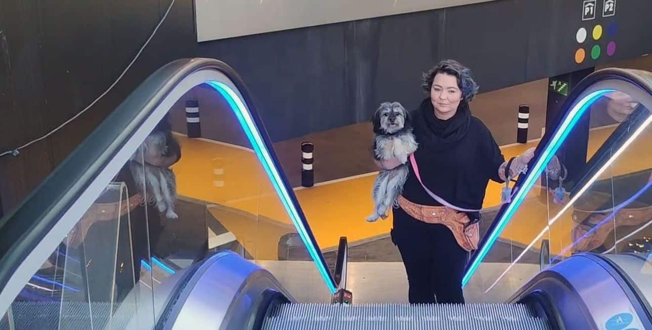 img_dog in escalator